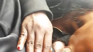 Suck dick in car