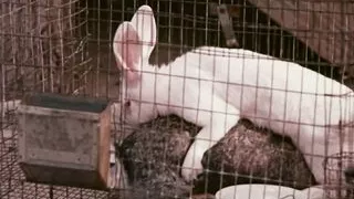 MKX's Nights of Horror #1