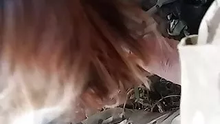 A bocca piena di cazzetto