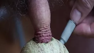 Schwanz pumpt durch Melone