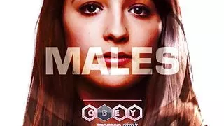 Female Supremacy stares down the Beta Male what to do