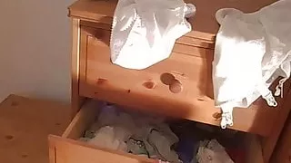 Retro Panties And Girdle