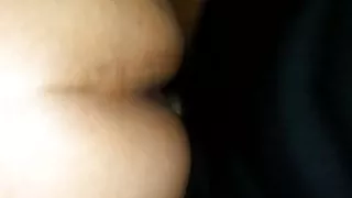 chiquis y su amigo negre II