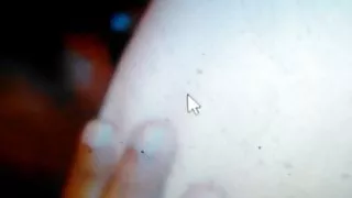 Glamourboi Devon Iz The Worlds Best..ass Eater