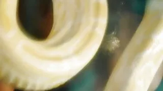 Erotic Dancing Princess Shows Some Sexy Ass Move Again