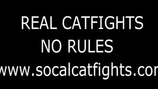 Real Catfights No Rules