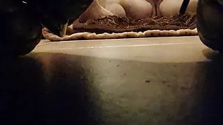 Jutrnje jebanje svastike i svrsavanje u nju.