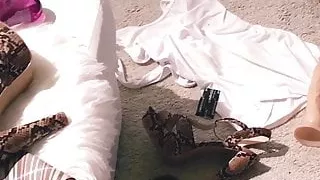 About last night BrunetteDream