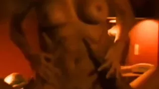 The Very Best of SHANNON TWEED