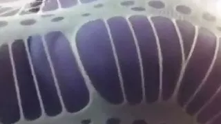 Black enormous titie