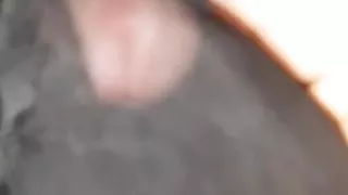 Schwiegermutters badeanzug