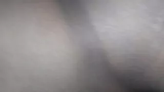 Stroking the mermaid