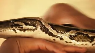 Brunette Babe Showing Her Stuff for her Intimate Fantasy