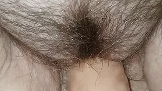 Dildo in BBW Wife's Pussy