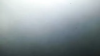 Nauja drauge