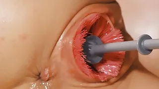 Toilet Brush Sisters - Queensnake.com - Queensect.com