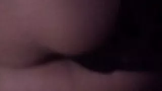 Beurette chienne Bruxelles