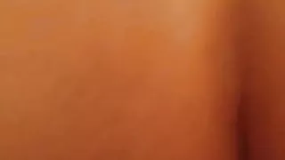 PlayboyStar By Tony Callboy Service