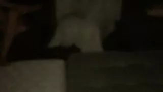 Partouse multi Anvers que j organise