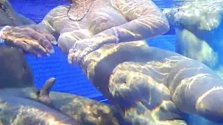 peeping underwater on the pool therme sauna spa