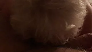 Mature BBW gives great head