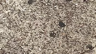 Delicious juicy woman