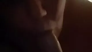 Bbw blowjob
