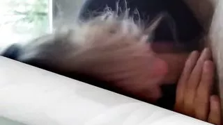 Granny sucking for cum