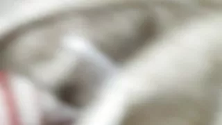 Diana la mia amica trans