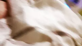 Mädchen lutscht meinen Schwanz Blowjob