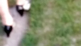 Suka prowadzi na wypierdolenie