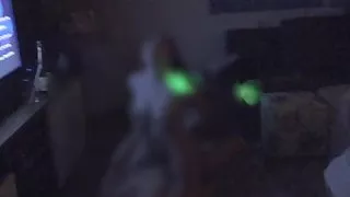 Fer dando que nem uma puta