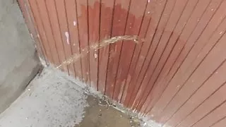 Ich pisse pervers in die Wohnung und durchnässe Teppiche und Essen