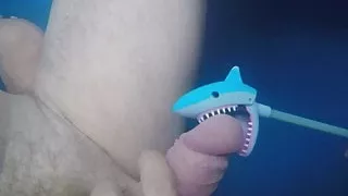 Shark bites dick