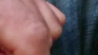 In der S-Bahn abgewichst