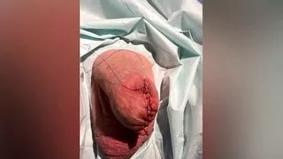 Cock sewing by Dominatrix Mistress April