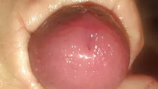 Fresh Out Of The Pump