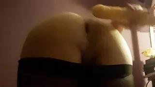 Analno, Rit, Velika Rit, Spodnje Perilo, Samozadovoljevanje, Hlačne Nogavice