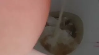 Wife hairy pee cunt 13