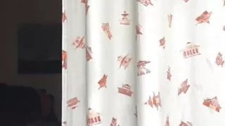 Anál, Bar, BDSM, Veľký Vták, Výstrek, Crossdresser