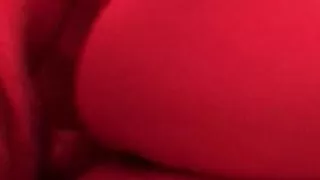 Doggy fun with a friend