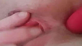 La belle chatte de ma Belge