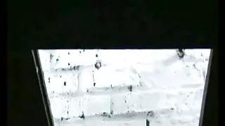 Mov8 (Amateur Pushes Out Her Prolapsed Ass While Pissing)