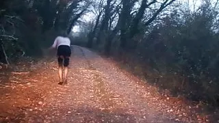 Blinkende Ausstellung im Holz nach Sturm mit analem Schwanzstopfen