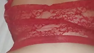 Public Outdoor Beach Resort Doggy