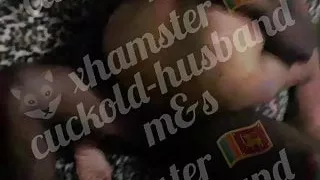 Happy new year 2020 gift