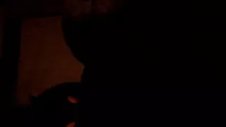 Amateursex, Blowjob, Crossdresser, Interracialsex