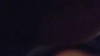 Celima sjl