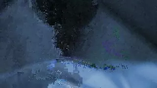 Another evening of my wife with our Bull