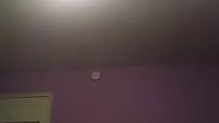 Exgf twerking pussy for the camera